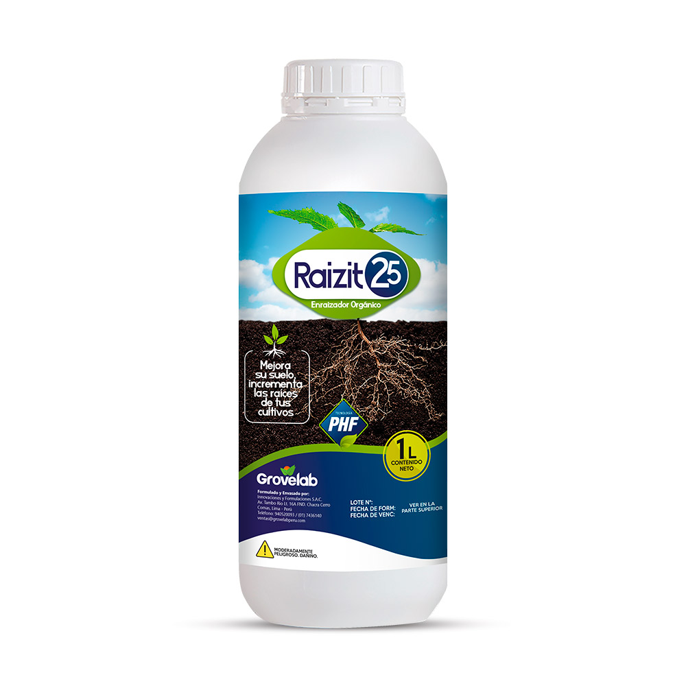RAIZIT-25